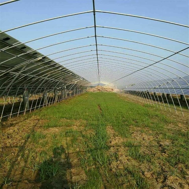 6�ֈA�ܴ���Ǽ�